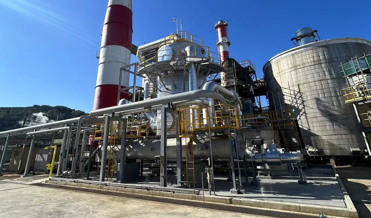 Vertical Process Pumps
